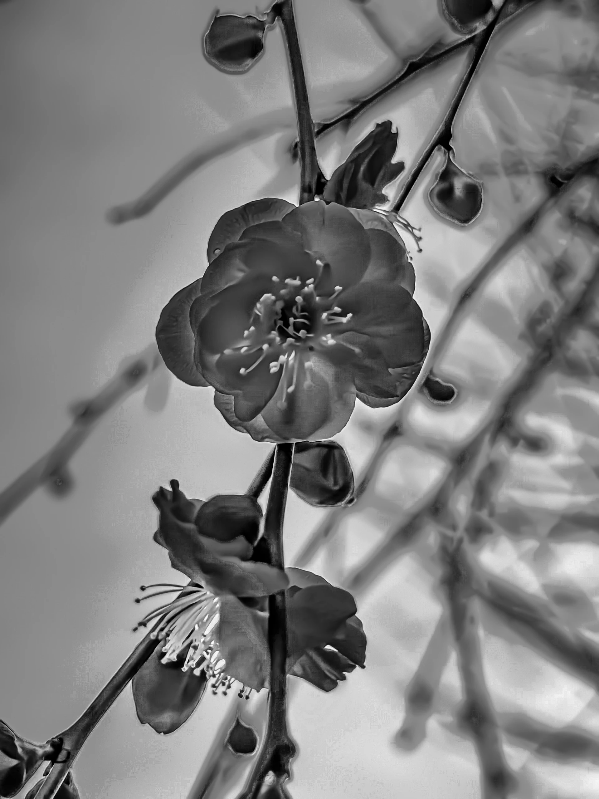 Looking Back at the Quiet Rebellion