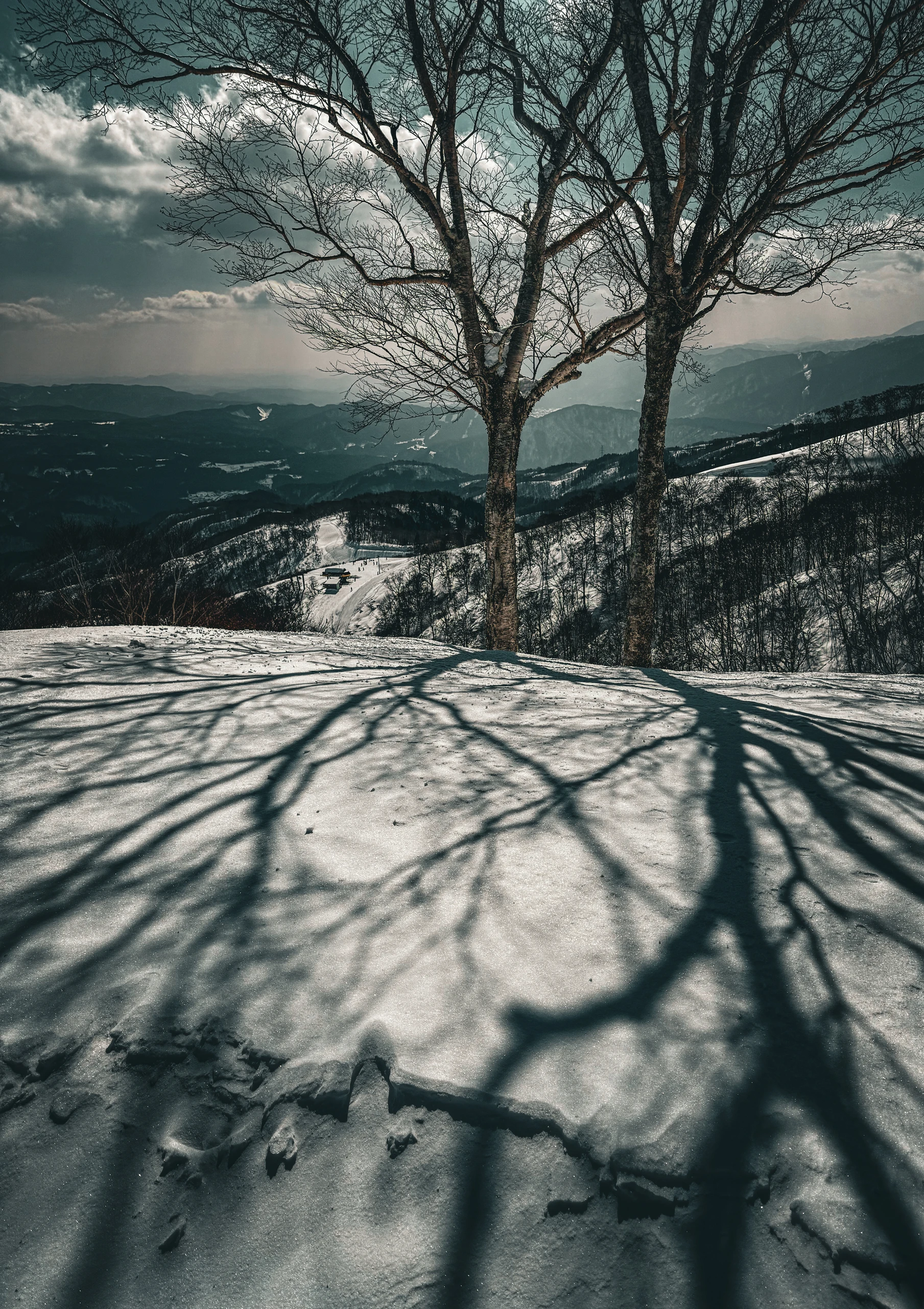 The Silence of the Third Eye: When AI Meets the I-Ching