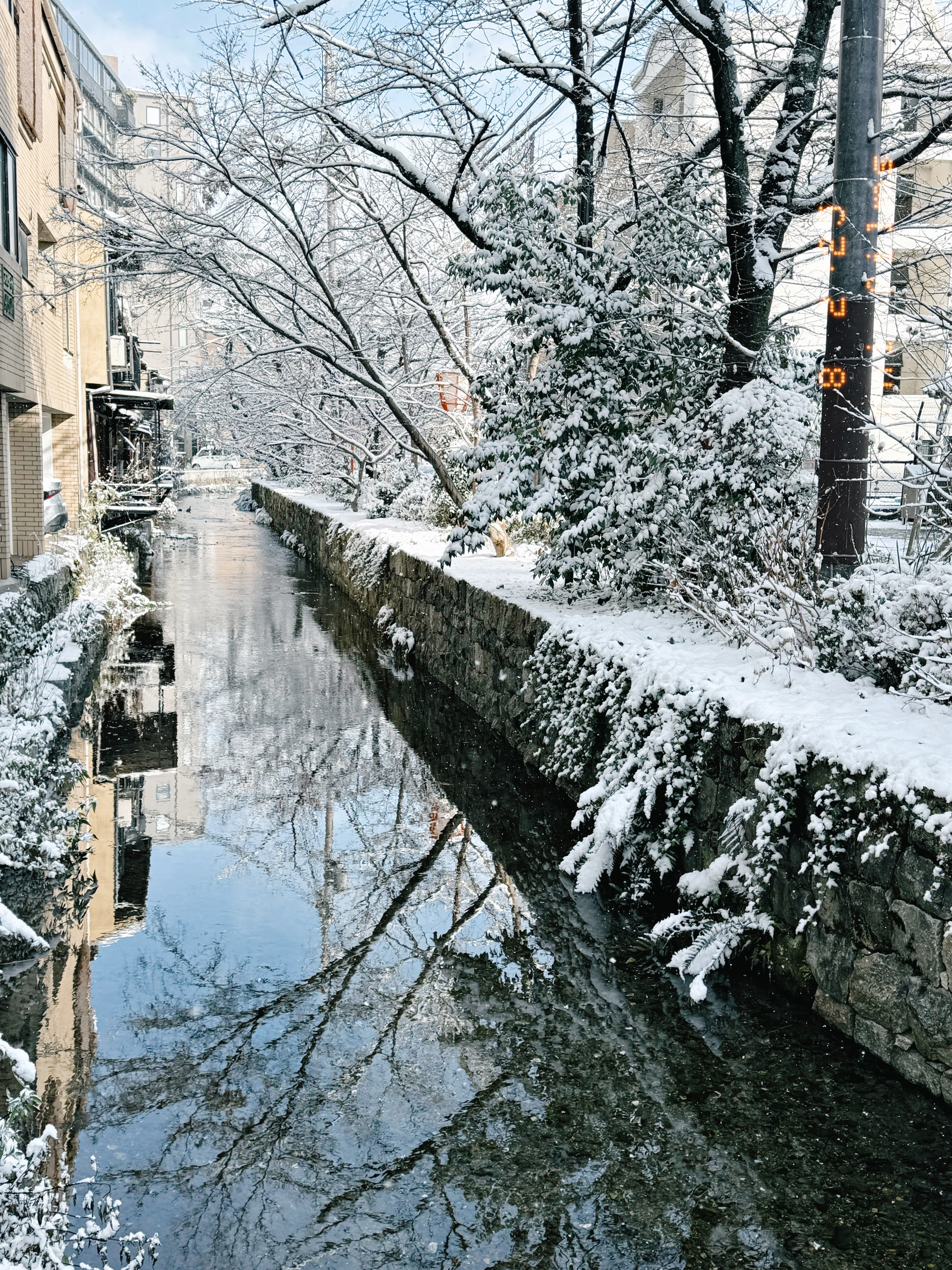 The Drunk's Paradox: When Logic Becomes Its Own Prison