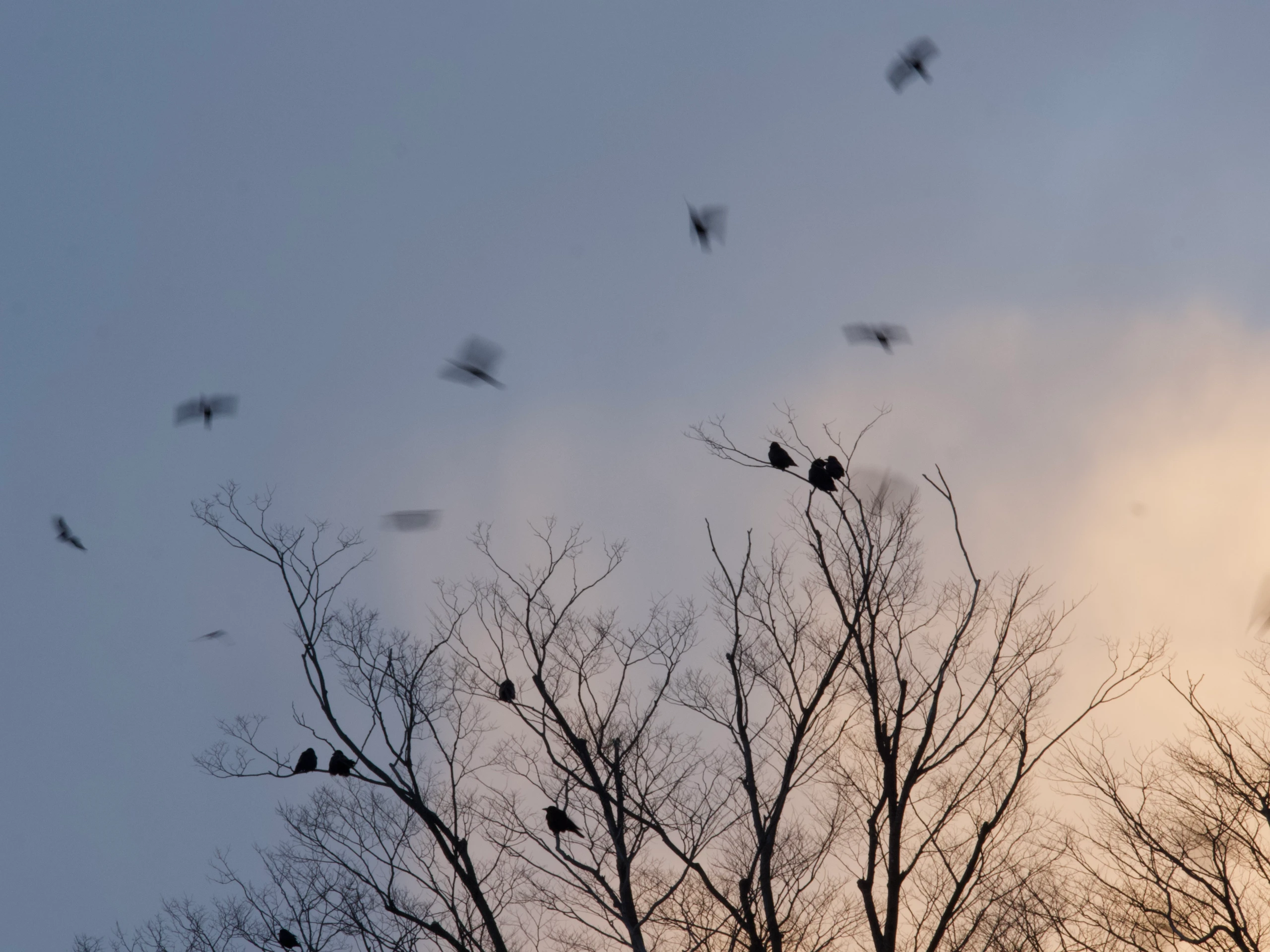 What I Want You to Know About This Period