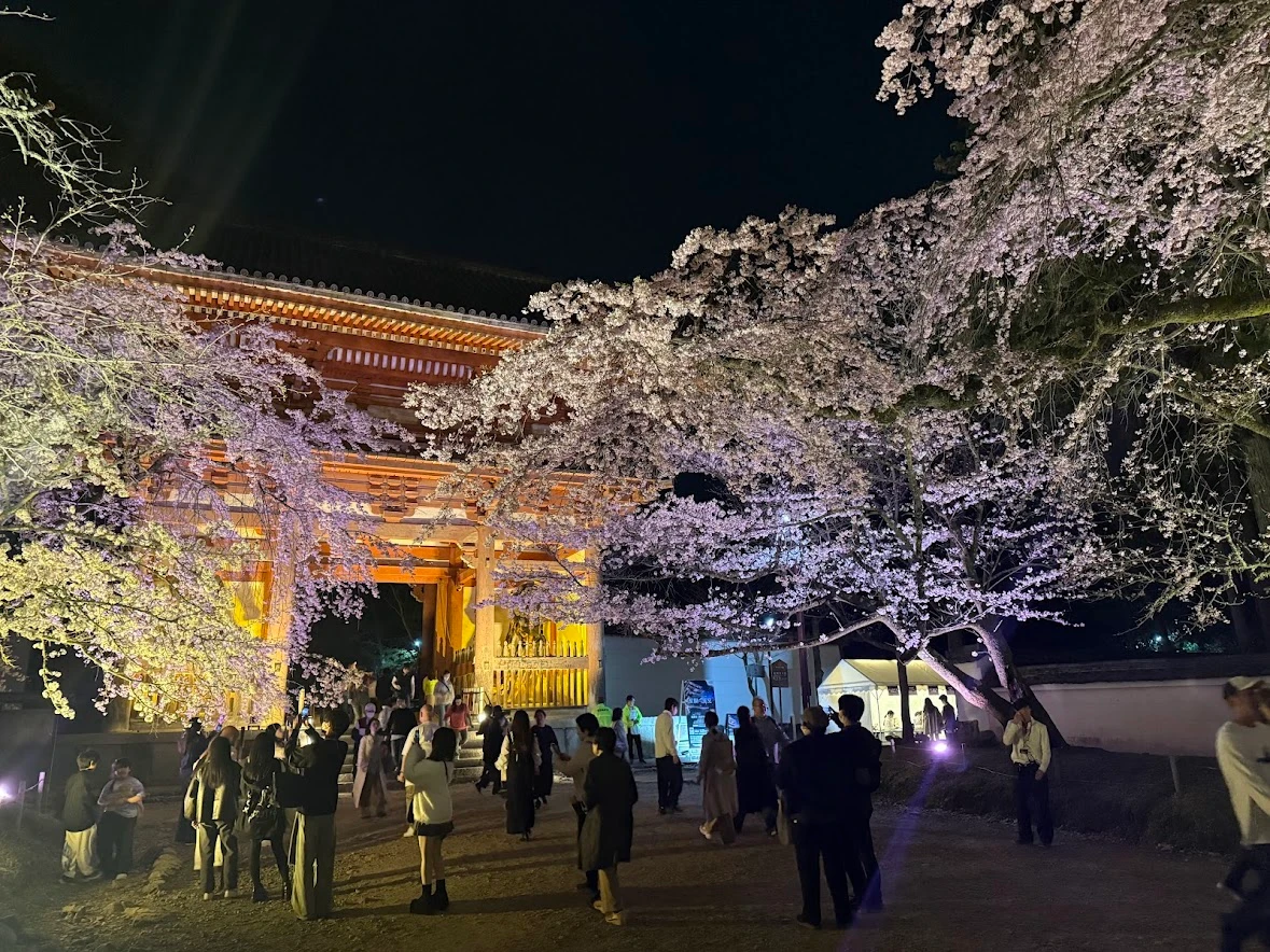 Why Beauty Fails: What Kyoto Spring Revealed About Spatial Coherence